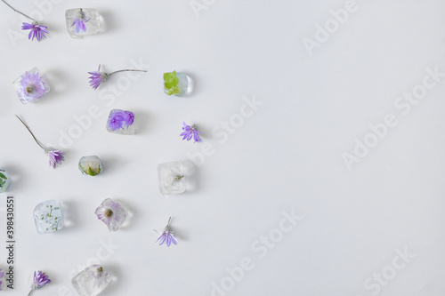 Beautiful flowers frozen in...