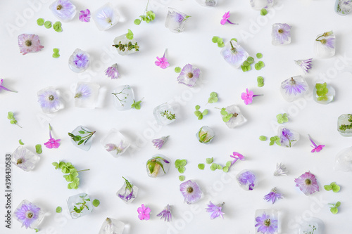 Beautiful flowers frozen in...