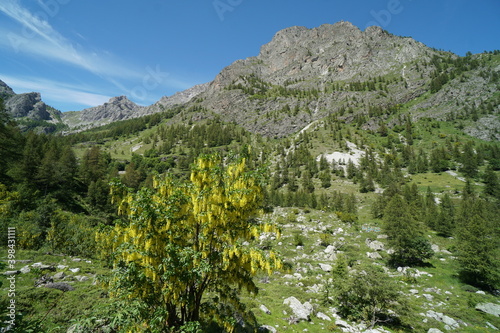 italia, mountain, nature, spring, lago nero, canosio photo