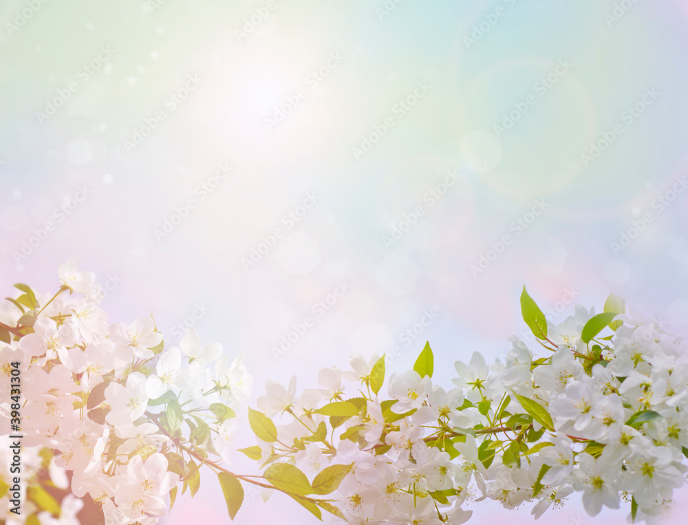 Spring-summer background in pastel colors - blooming apple tree, white flowers with delicate petals, frame for design. Abstract natural background.