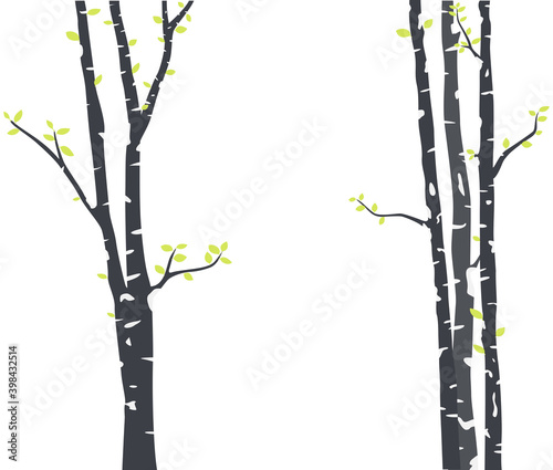 Birch Tree with deer and birds Silhouette Background for wallpaper sticker