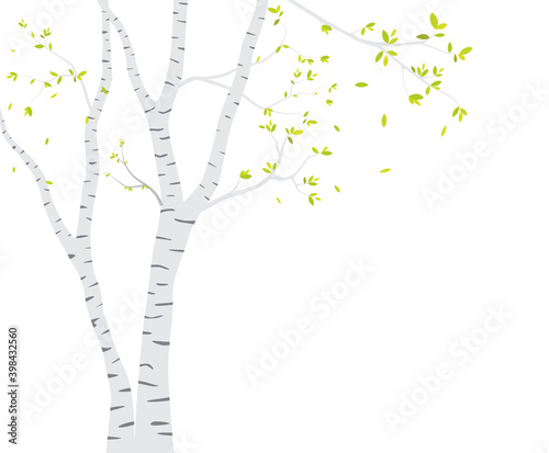 Birch Tree with deer and birds Silhouette Background for wallpaper sticker