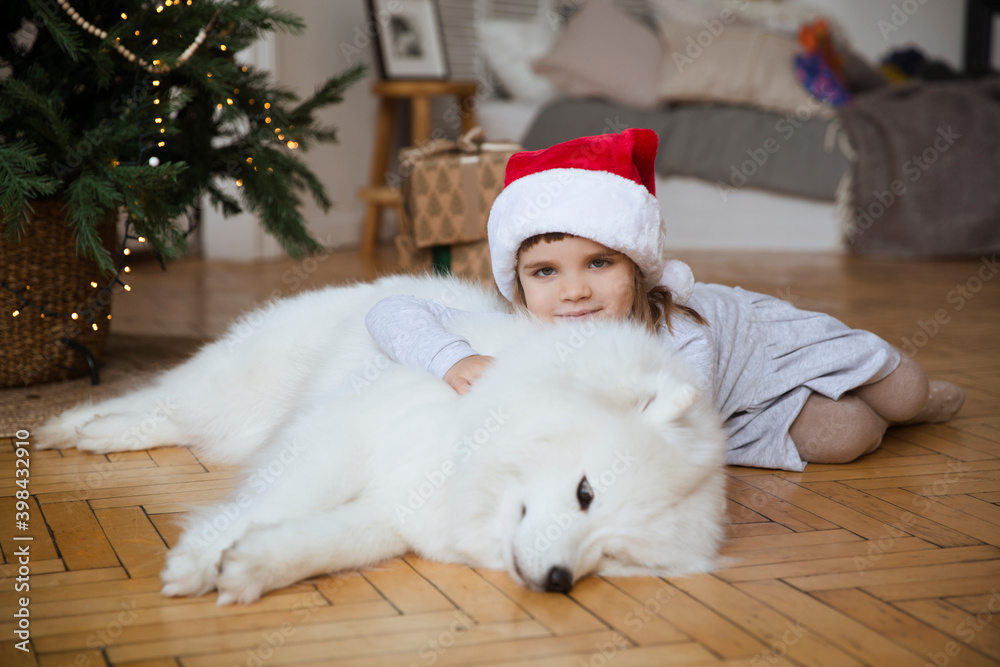 happy child girl in a Santa hat
hugging dog Samoyed husky n Christmas holidays at home happy child girl in a Santa hat
hugging dog Samoyed husky n Christmas holidays at home