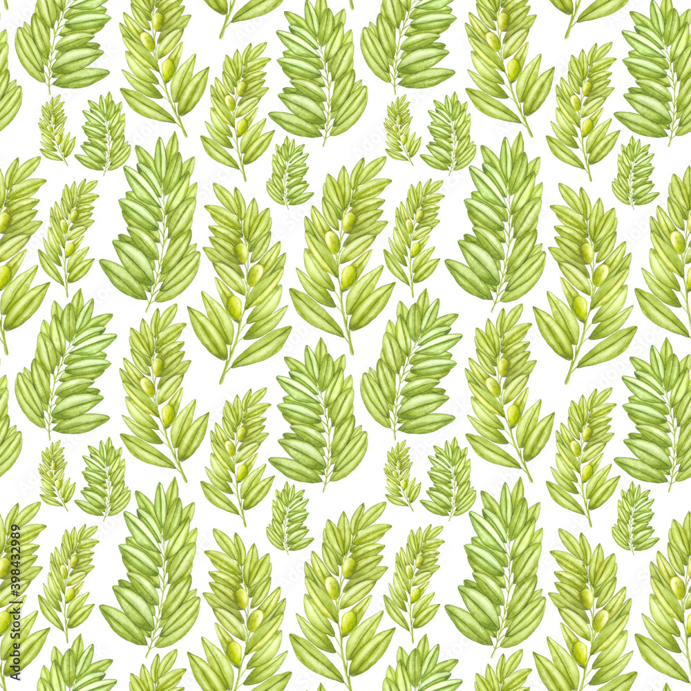Watercolor seamless pattern with olive leaves in retro style. Hand drawn branches of olives tree isolated on white background. Cute pattern design for home textile, decor, wedding decor, invitations.