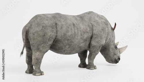Realistic 3D Render of White Rhinoceros