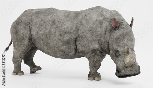 Realistic 3D Render of White Rhinoceros