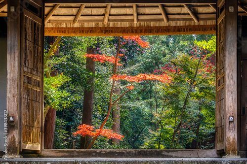 Traditional gateway to Honen-in Temple, Kyoto, Japan, in autumn photo