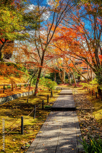 Shinnyo-do Temple, Kyoto, famous for the autumn leaves colors of the Japanese maple