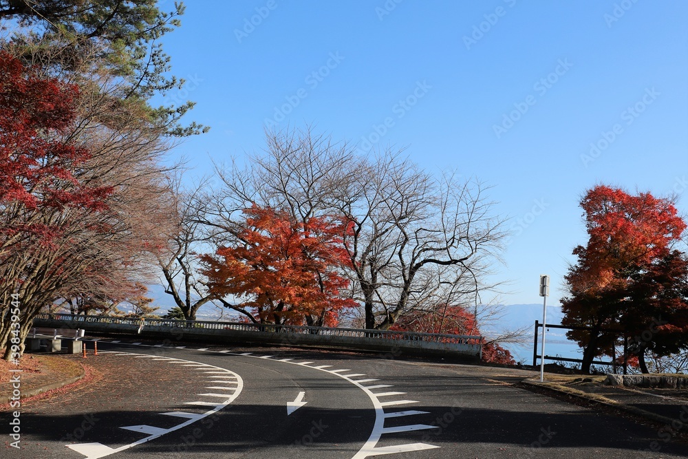 Obraz premium 奥琵琶湖パークウェイ 紅葉