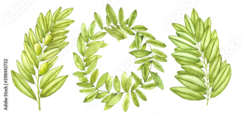 Watercolor olive branches set. Hand drawn branches of olive tree and wreath with leaves. Watercolor clip art isolated on white background. Design for wedding decor  wedding invitations  cafe decor.