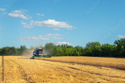 фотографія Scenic front view Big powerful industrial combine harvester machine reaping golden ripe wheat cereal field on bright summer or autumn day