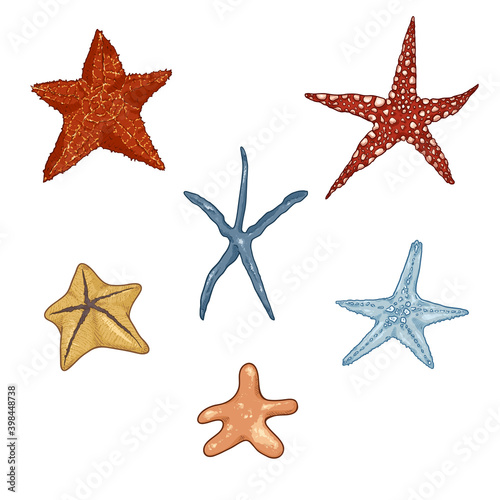 Vector Set of Cartoon Starfishes