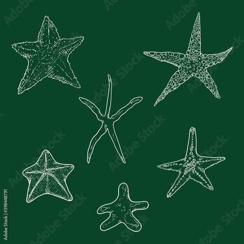 Vector Set of Chalk Sketch Starfishes.