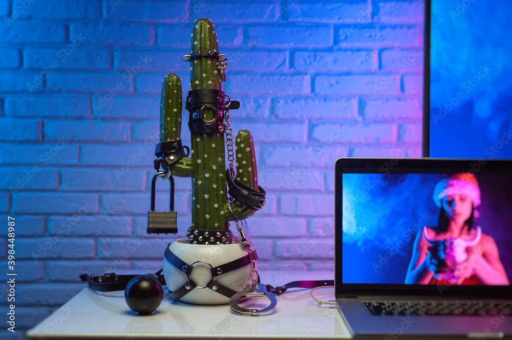 cactus dressed Up in accessories for BDSM games on the table next to the TV and laptop with the image of a girl in neon light