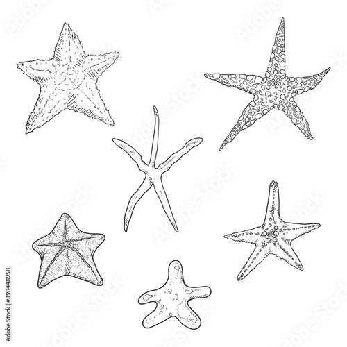 Vector Set of Sketch Starfishes.