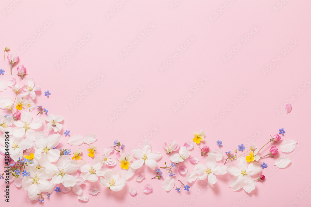 spring flowers on pink background