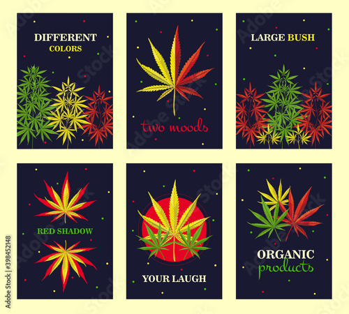 Bright brochure designs with cannabis bush and leaves. Colored marijuana poster on dark background. Hemp, cannabis and legal drug concept. Template for promotional leaflet or flyer