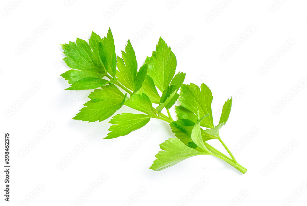Obraz premium fresh celery on white background