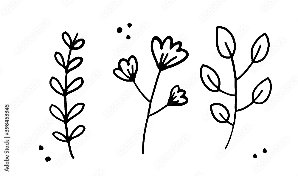 Hand drawn illustration flowers