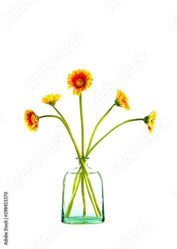Bouquet of gerbera flowers in glass vase