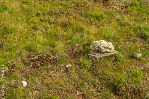 Rocks in Bucegi Mountains, Bucegi National Park, Romania