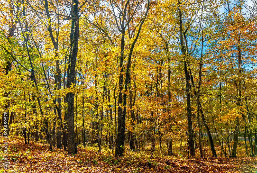 Nature around Holy Hill in Wisconsin of USA