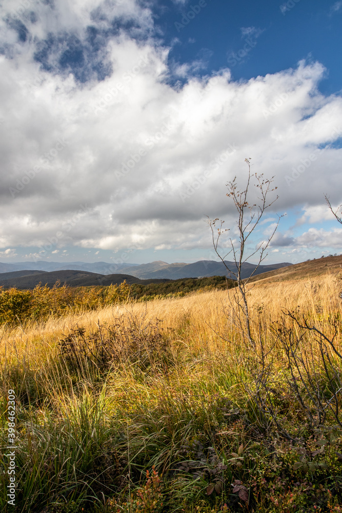 Obraz premium Autumn in the mountains. Bieszczady. Wielka Rawka Mountain Range
