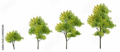 Collection of abstract watercolor green tree side view isolated on white background  for landscape and architecture layout drawing  elements for environment and garden