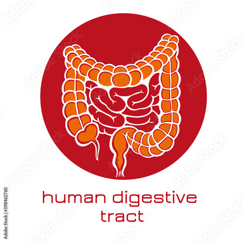 Human digestive tract icon. Vector illustration.