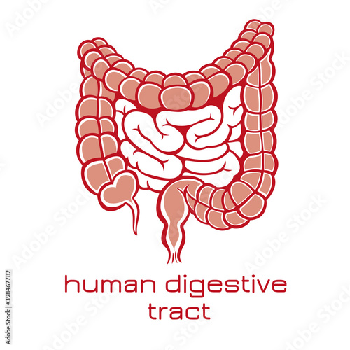 Human digestive tract icon. Vector illustration.