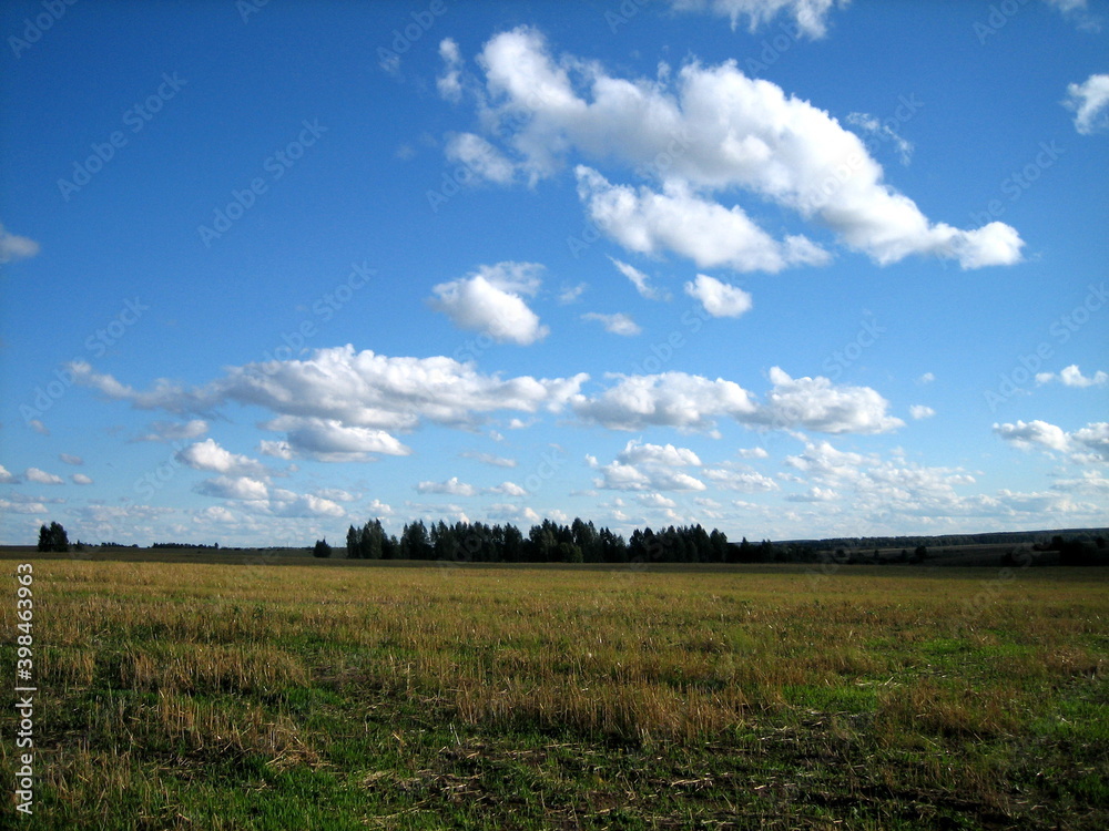 A clear field of agricultural land is densely overgrown with grass. There are clouds in the sky. The forest darkens on the horizon.