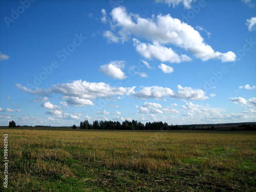 A clear field of agricultural land is densely overgrown with grass. There are clouds in the sky. The forest darkens on the horizon.