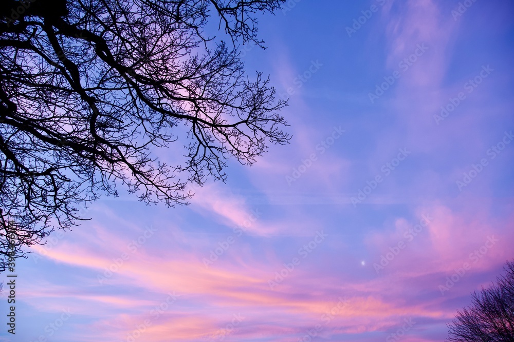 Pink Clouds at Sunrise Pink Clouds at Sunrise