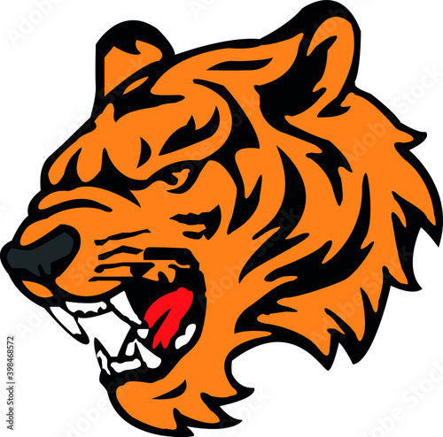 Fototapeta Naklejka Na Ścianę i Meble -  muzzle of an orange tiger with black stripes. roaring tiger with fangs