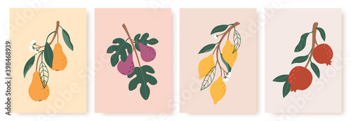 Abstract fruit poster. Modern prints with summer fruits, leaves and flowers. Lemon, pear and fig branches in minimalist art style vector set