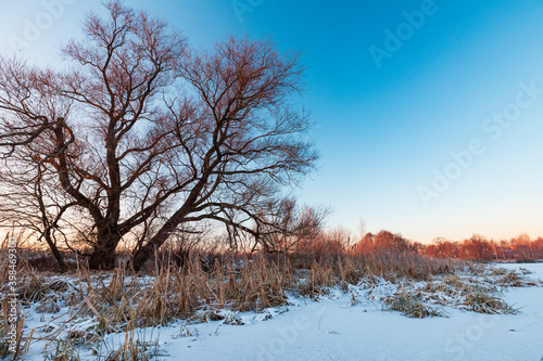 Wallpaper Mural winter landscape with frozen river Torontodigital.ca