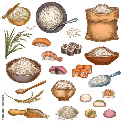 Rice food. Hand drawn asian dishes sushi rolls, mochi, porridge bowl and noodles. Bag and piles of rice grains. Japanese cuisine vector set