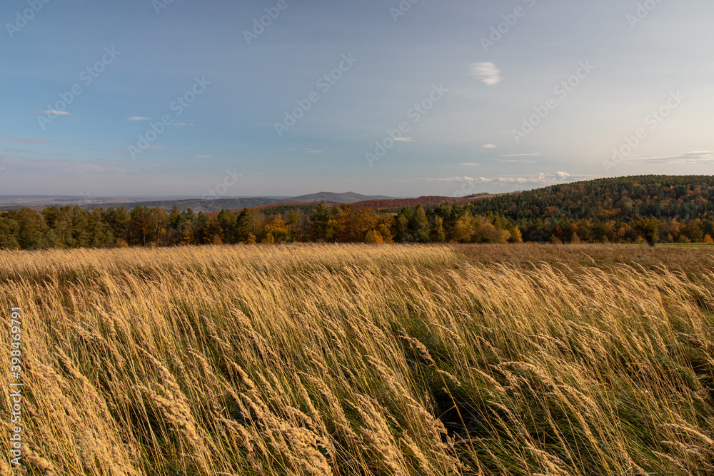 field and blue sky