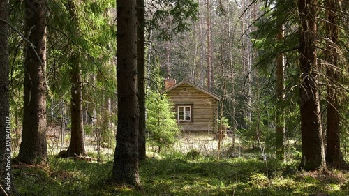 Old timbered house in coniferous forest, dalarna, Sweden
 photo