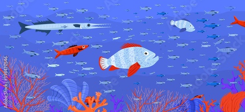 Marine life background
