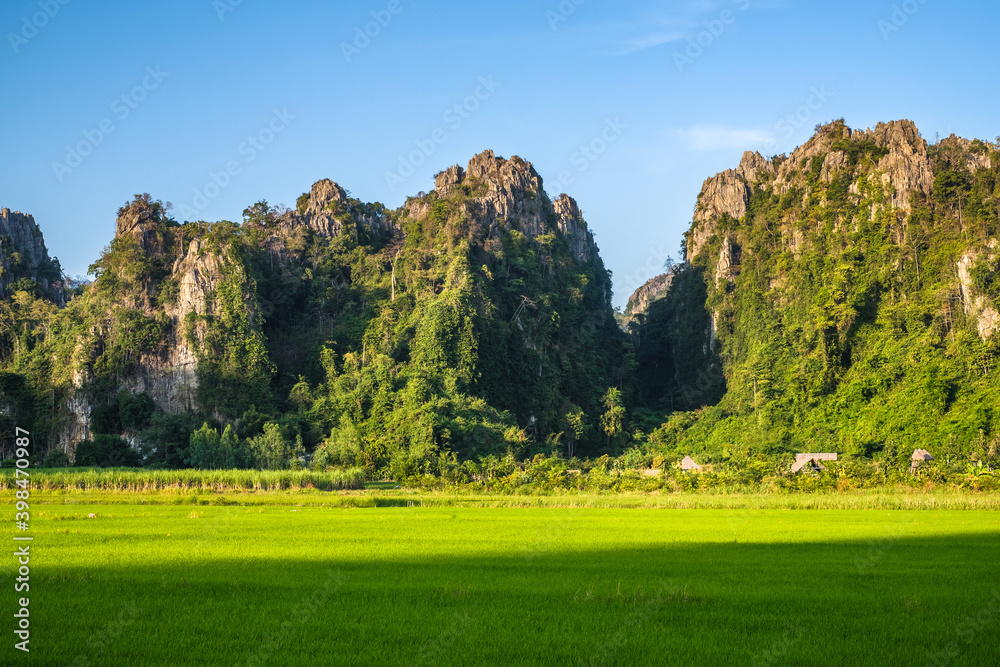 Rice Field and Mountain at Noen Maprang, Thailand Rice Field and Mountain at Noen Maprang, Thailand
