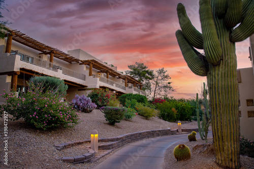 arizona resort with cactus and sunset