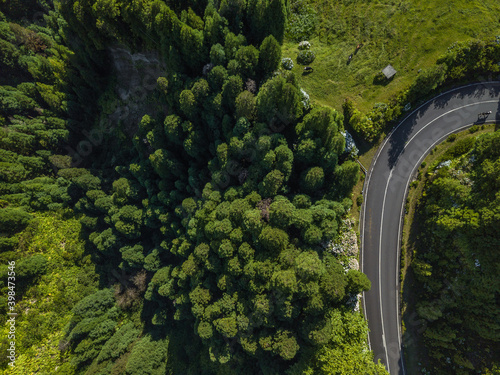 Overhead aerial top view over forest in Sete Cidades with a cow on the turn road. Mountain curve street path background. Straight-down above perspective. São Miguel Island, Azores