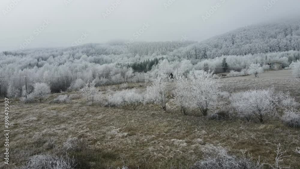 Aerial drone shot of countryside, frozen forest trees growing on background winter mountains. Wanderlust destination, mesmerizing and seeing nature. Clean peaceful scenery Aerial drone shot of countryside, frozen forest trees growing on background winter mountains. Wanderlust destination, mesmerizing and seeing nature. Clean peaceful scenery