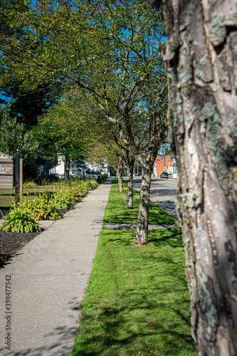 The tree and plants line both sides of the sidewalk in the small town of Windsor in Broome County in Upstate NY. A warm day in September begs for a walk down this Village sidewalk