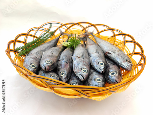 Fresh Small Tuna Fish Decorated with herbs on a bowl,White Background.Selective focus. photo