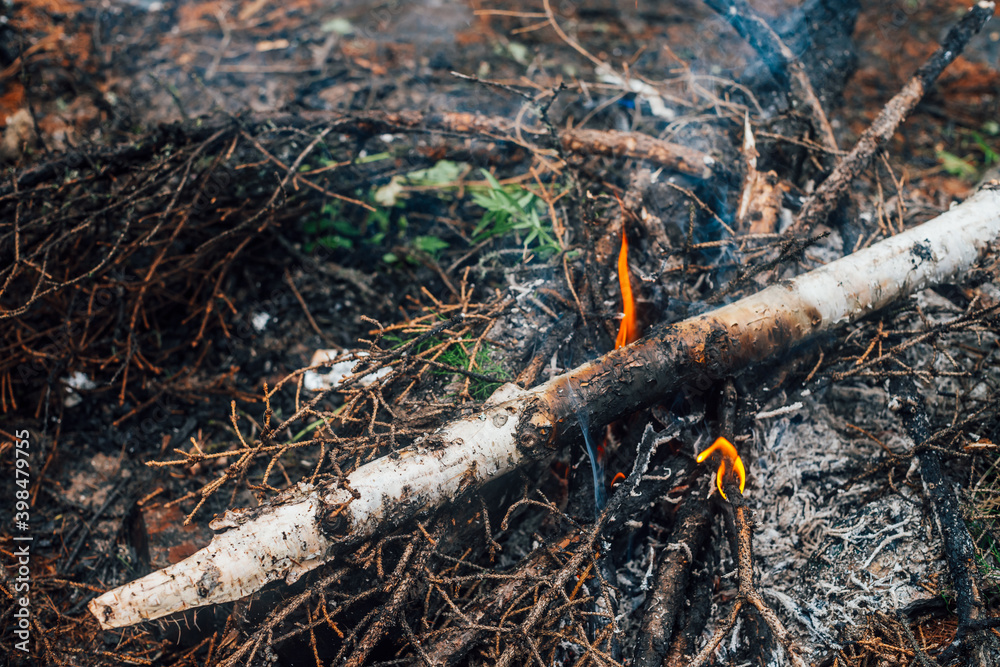 Burning branches and brushwood in fire close-up. Atmospheric warm background with orange flame of campfire and blue smoke. Beautiful full frame image of bonfire. Firewood burns in vivid flames. Burning branches and brushwood in fire close-up. Atmospheric warm background with orange flame of campfire and blue smoke. Beautiful full frame image of bonfire. Firewood burns in vivid flames.