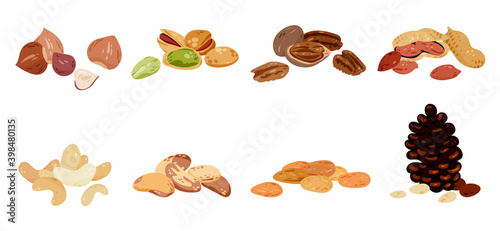 Isolated nuts collection. Cashew, almonds, hazelnuts, brazil nut, pecan, pine. Set of various seeds, healthy snacks. Organic vitamin sources cartoon clipart.