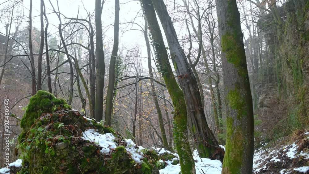 Glacial canyon in Slovenia in winter season. Huge rocks and boulders in natural gorge. Ascending, wide angle Glacial canyon in Slovenia in winter season. Huge rocks and boulders in natural gorge. Ascending, wide angle