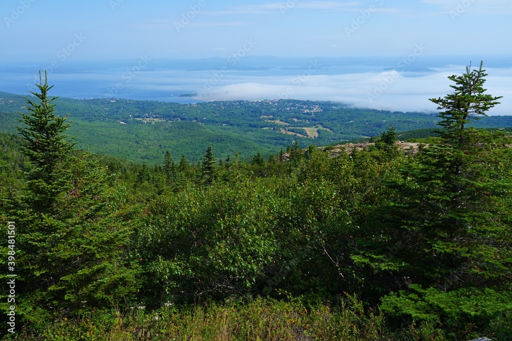 Fototapeta premium Landscape view of Bar Harbor from Cadillac Mountain in Acadia National Park, Mount Desert Island, Maine, United States